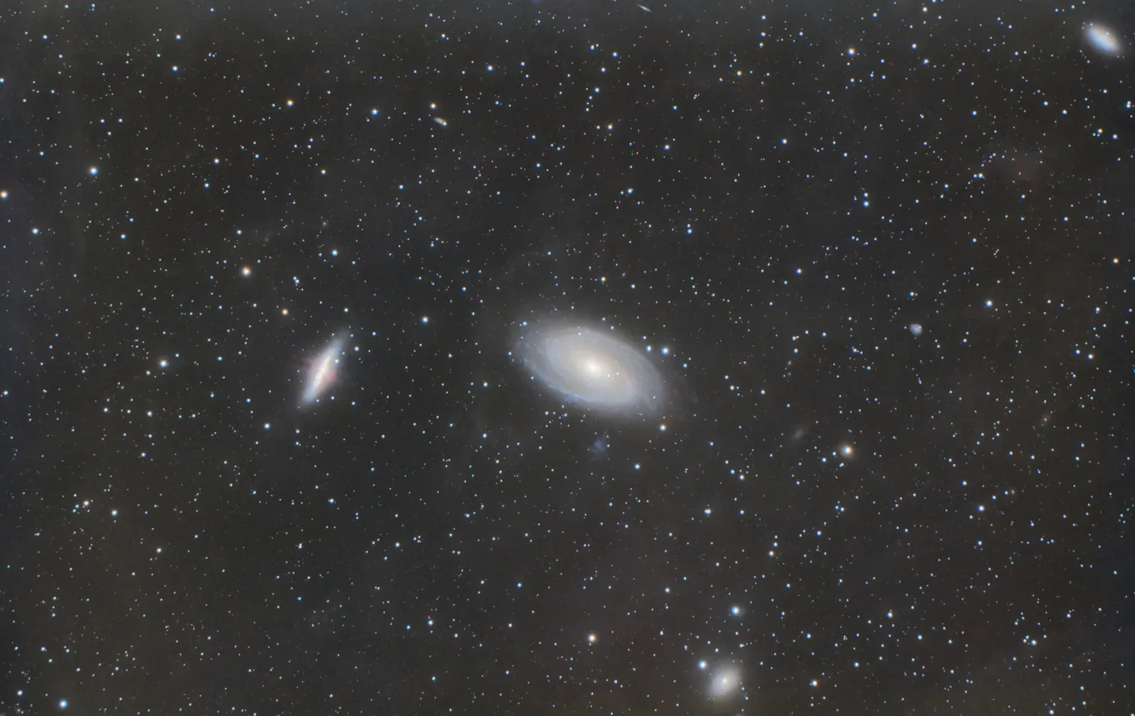 M81